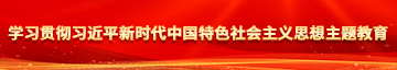 爆插美女骚逼大鸡巴学习贯彻习近平新时代中国特色社会主义思想主题教育