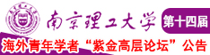 嗯嗯被操了操的好舒服啊在线观看南京理工大学第十四届海外青年学者紫金论坛诚邀海内外英才！